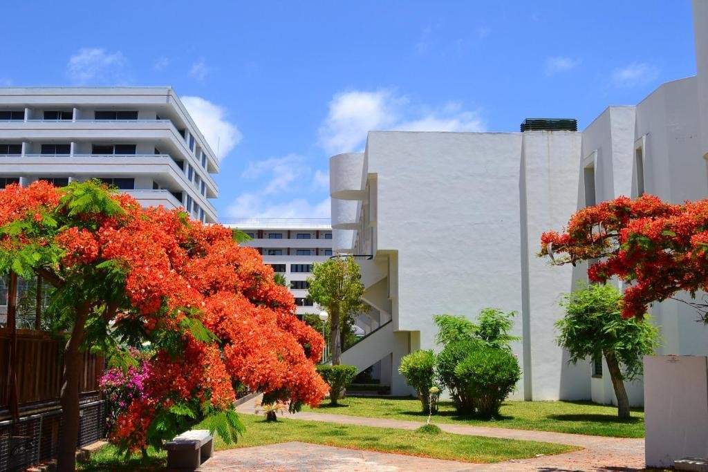 Optimist Tenerife ⭐⭐⭐⭐